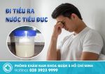 Nguyên nhân tiềm ẩn của tình trạng nước tiểu đục và bí quyết điều trị an toàn