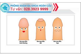 Bao quy đầu bình thường là như thế nào?