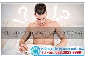 Các bệnh thường gặp ở dương vật