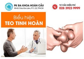 Biểu hiện teo tinh hoàn