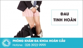 Hiện tượng đau tinh hoàn là bệnh gì làm sao để chữa khỏi