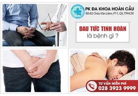 Đau Tức Tinh Hoàn Là Bệnh Gì?