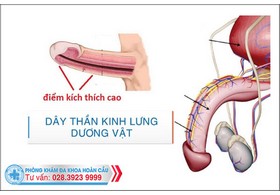 Dễ xuất tinh vì dương vật nhạy cảm và cách khắc phục hiệu quả