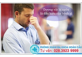 Dương vật bị ngứa