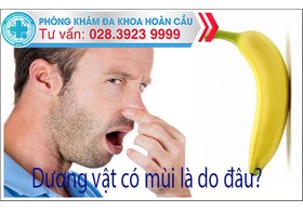 Dương vật có mùi nguyên nhân do đâu?