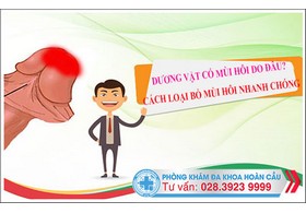Dương vật hôi do đâu? và cách loại bỏ mùi hôi nhanh chóng