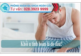 Khối u tinh hoàn