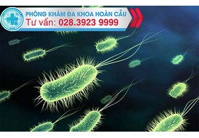 Tìm hiểu về bệnh nhiễm khuẩn đường tiểu ở nam giới