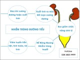 Cảnh báo nguy hiểm từ bệnh nhiễm trùng đường tiểu ở nam giới và cách trị