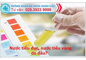 Nước tiểu đục nước tiểu vàng