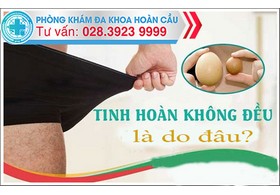 Tinh hoàn không đều là do đâu?