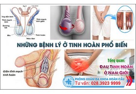 Tổng hợp những bệnh tinh hoàn thường gặp