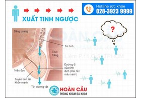 Xuất tinh ngược dòng và những tác hại không ngờ tới