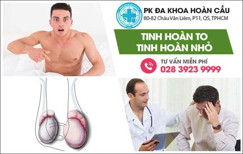 TINH HOÀN MỘT BÊN TO, MỘT BÊN NHỎ LÀ DO ĐÂU?